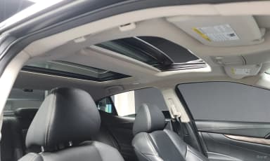 Maxima (A36)