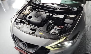 Maxima (A36)