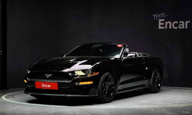 Mustang