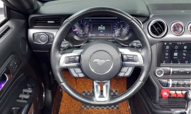 Mustang