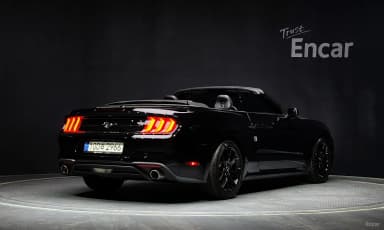 Mustang