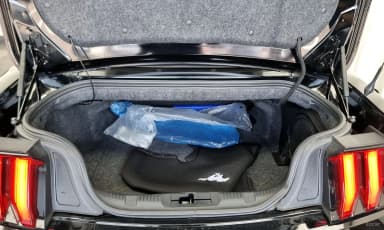 Mustang