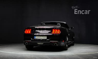 Mustang