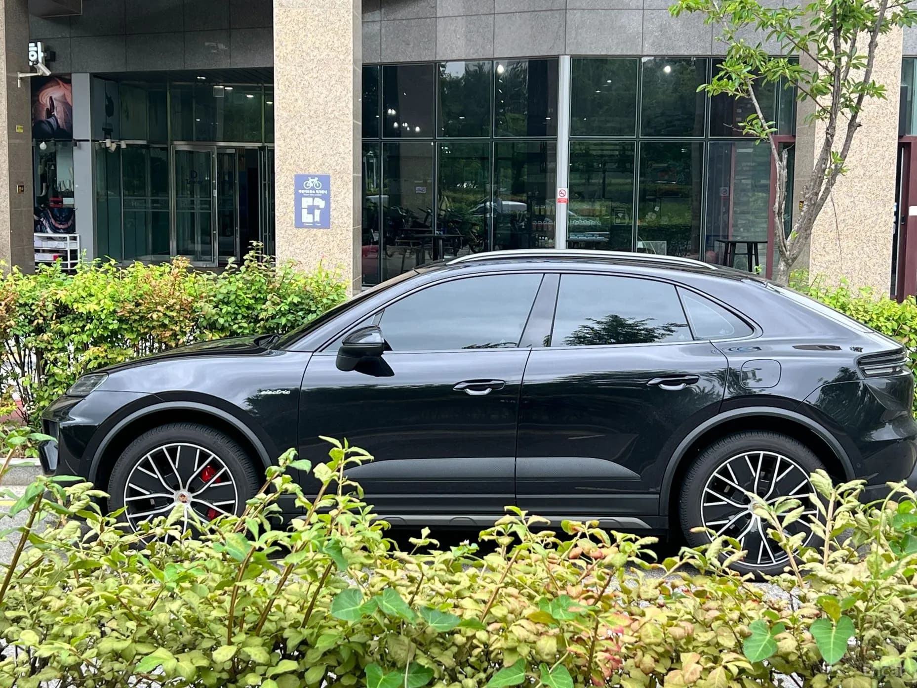 Macan EV