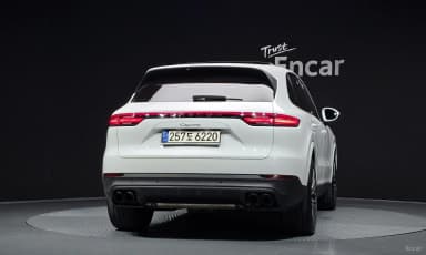 Cayenne (PO536)