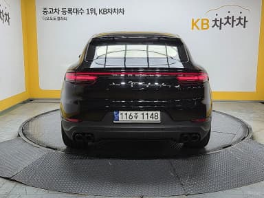 Cayenne (PO536)