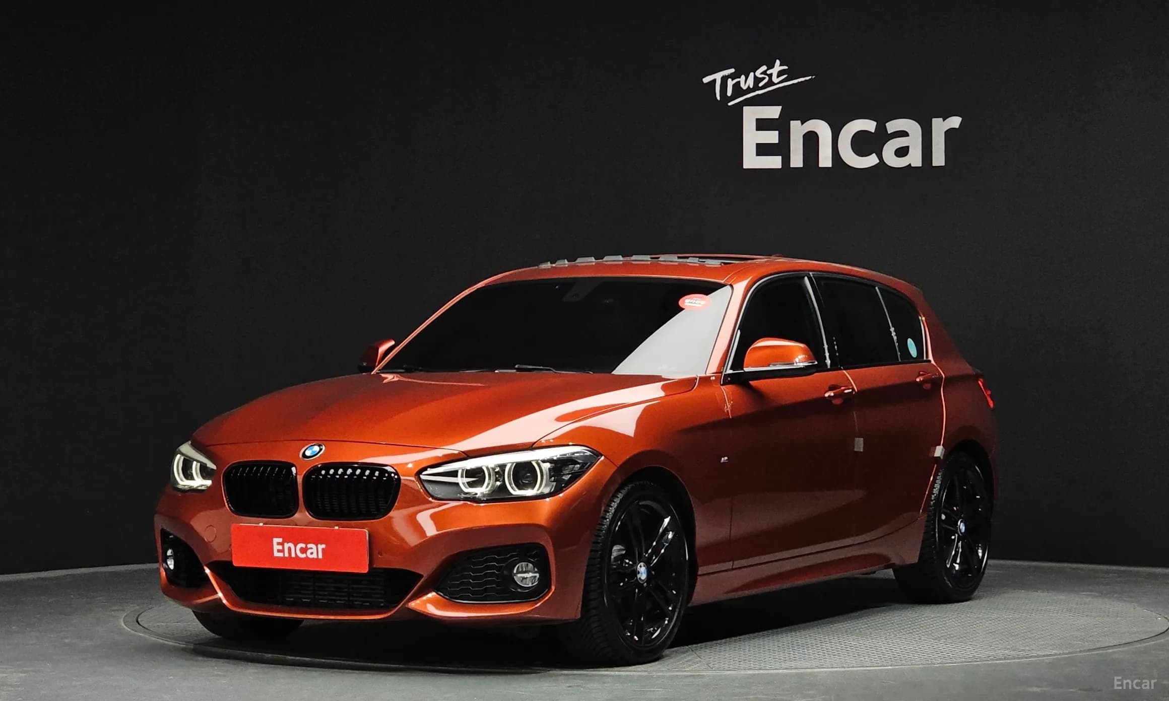 1 Series (F20)