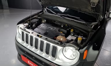 Renegade