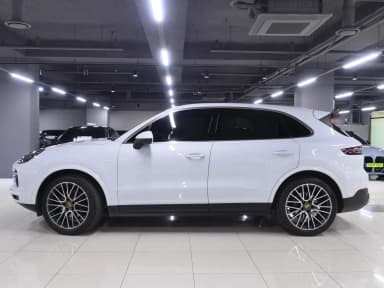 Cayenne (PO536)