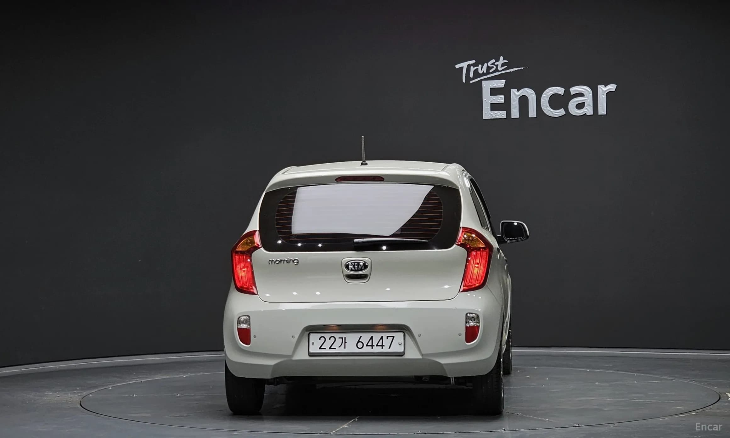 morning