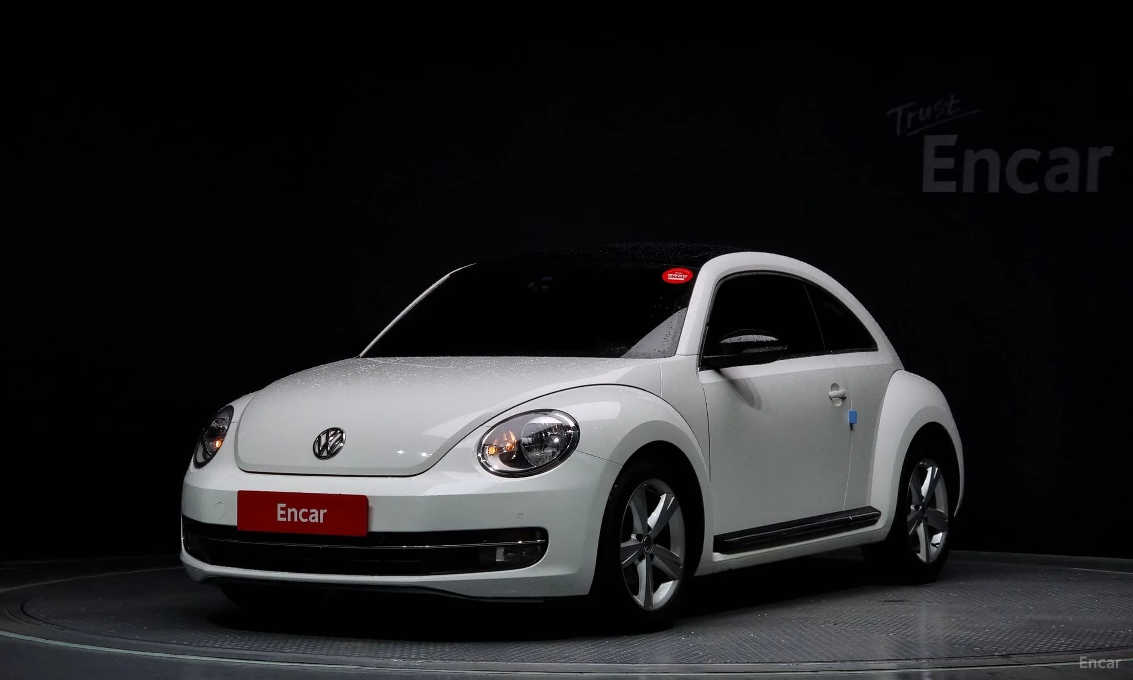 The Beetle