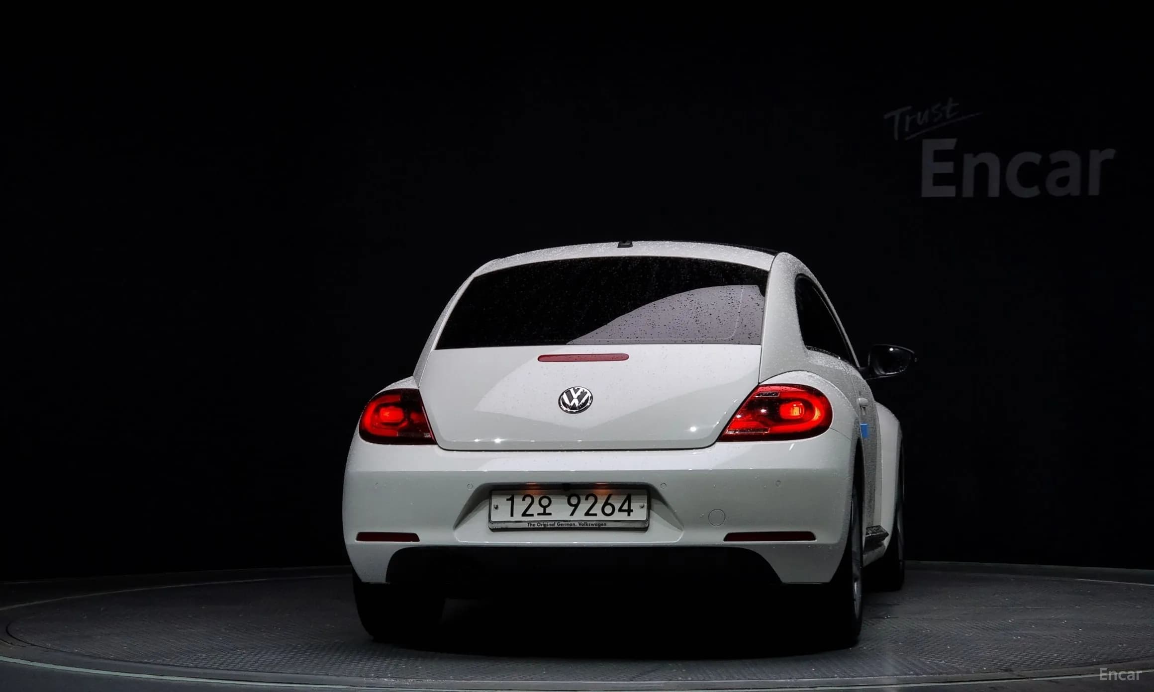 The Beetle