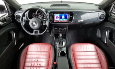 The Beetle