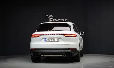 Cayenne (PO536)