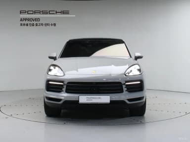 Cayenne (PO536)