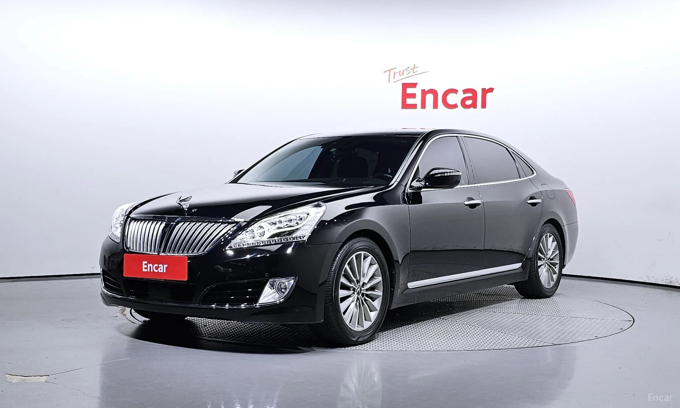 Equus (new)