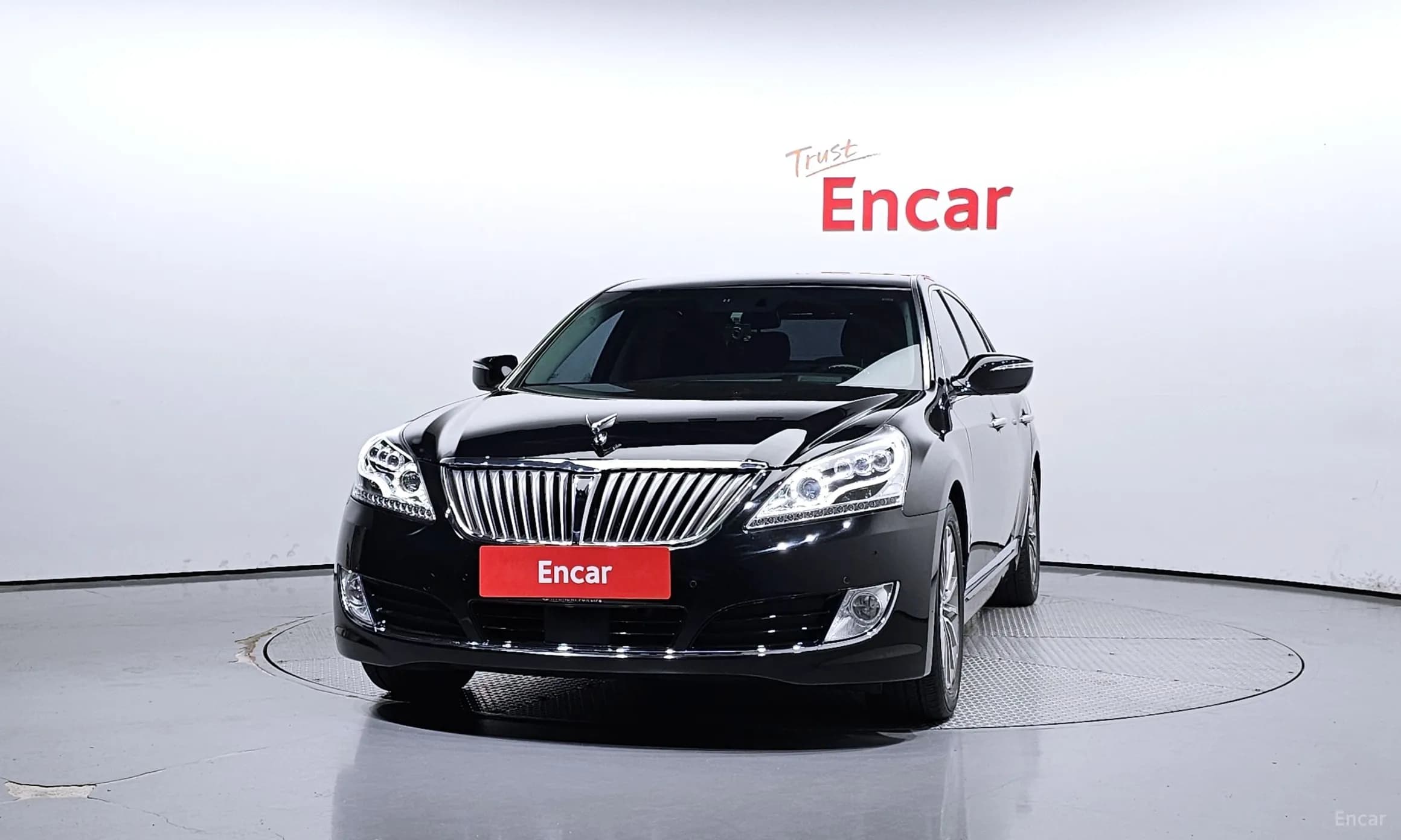 Equus (new)