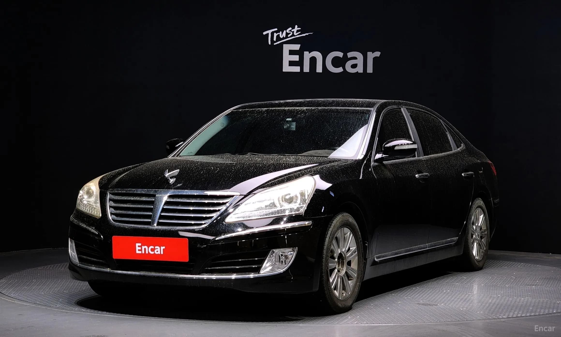 Equus (new)