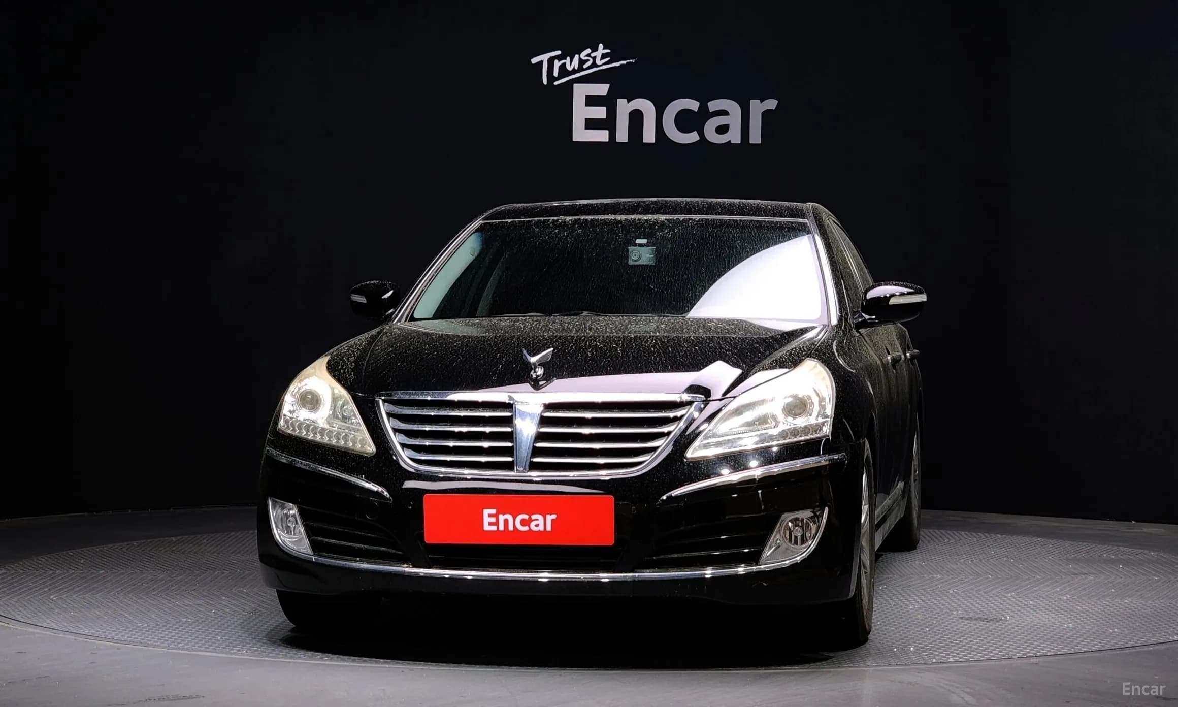 Equus (new)