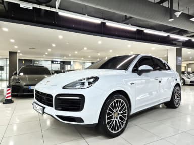 Cayenne (PO536)
