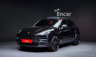 Macan