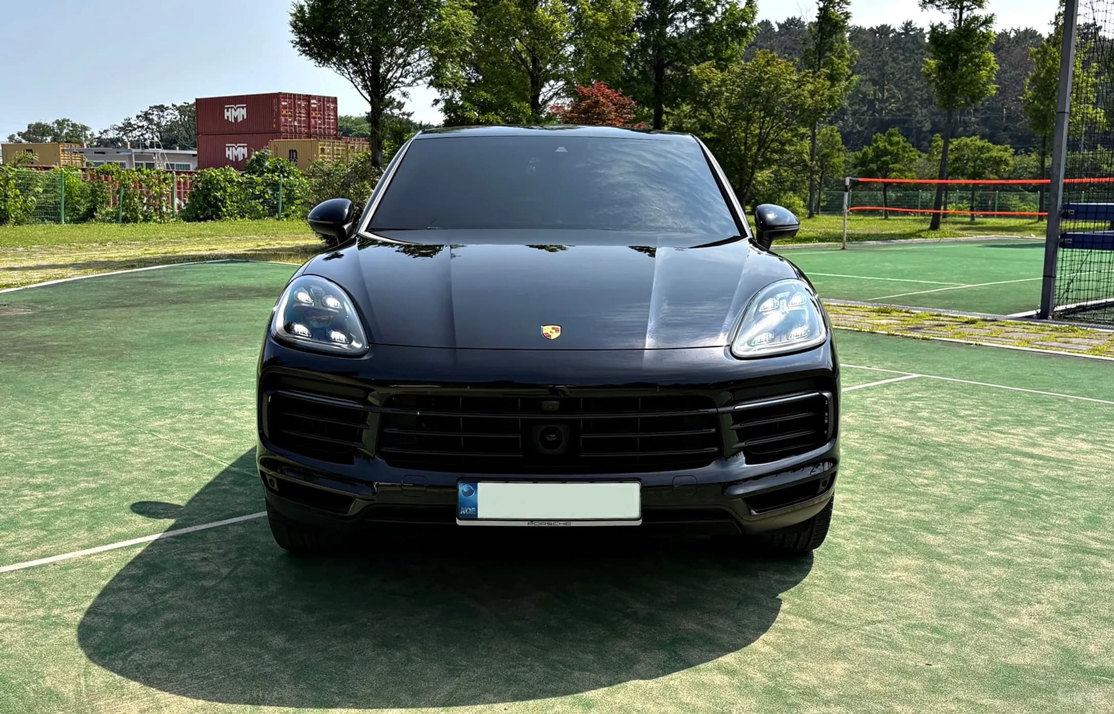 Cayenne (PO536)