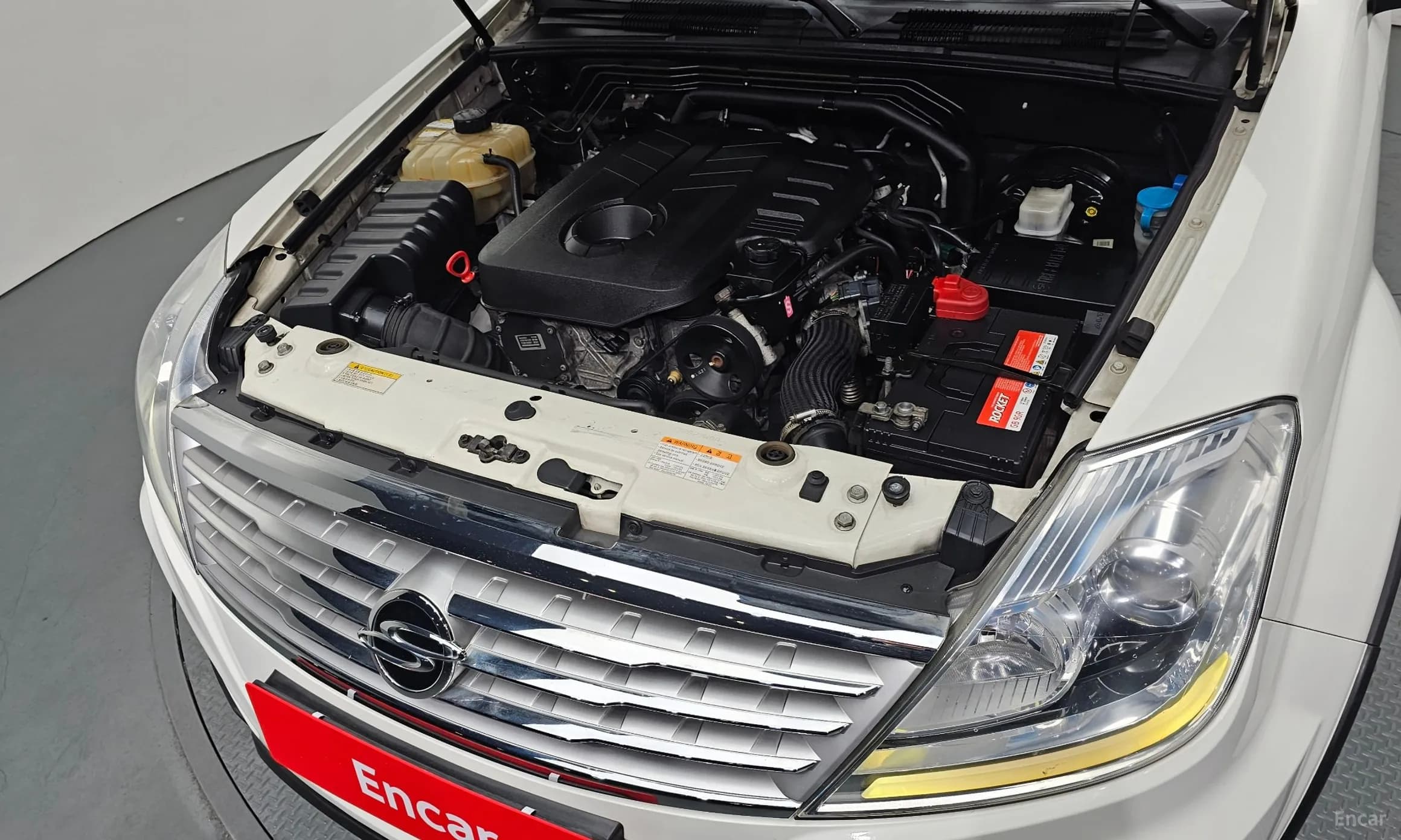 Rexton W