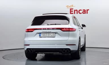 Cayenne (PO536)