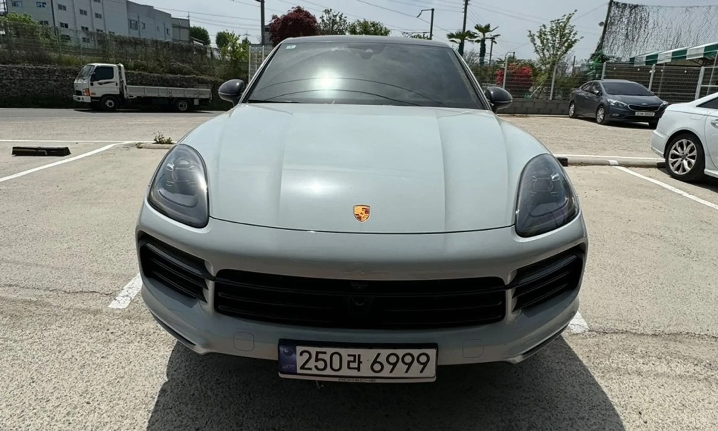 Cayenne (PO536)