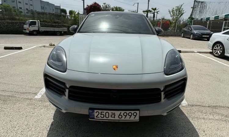 Cayenne (PO536)