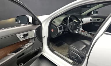 New XF