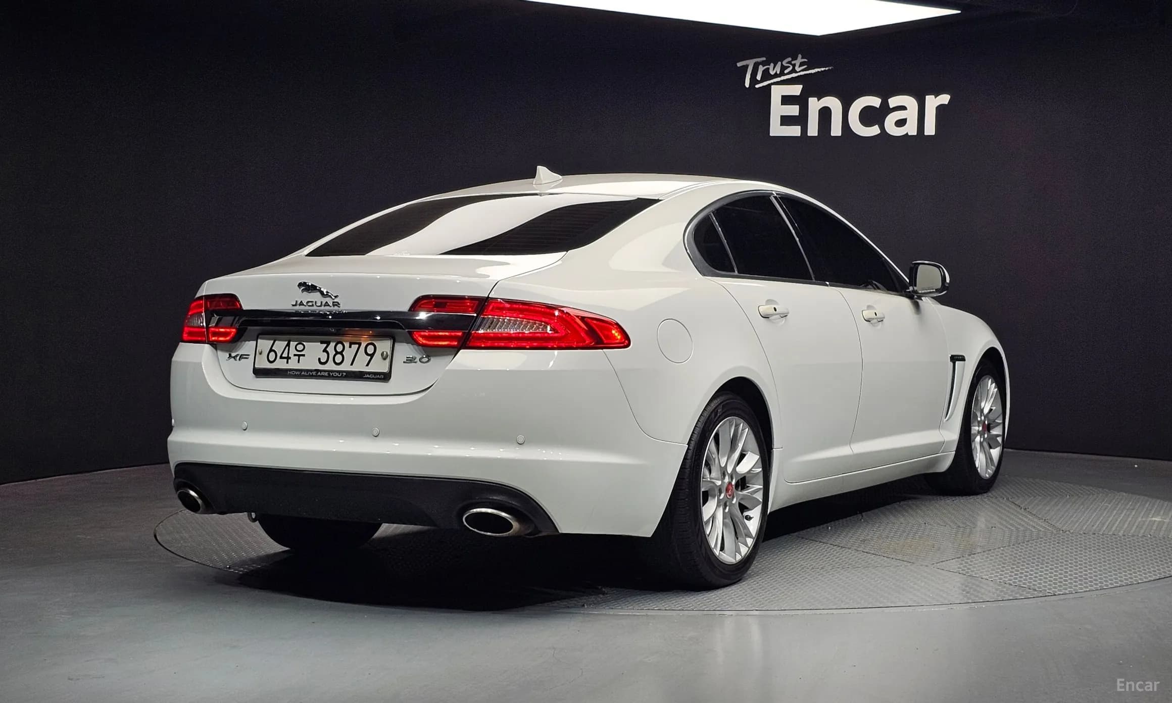 New XF
