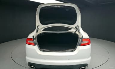 New XF