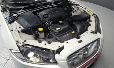 New XF