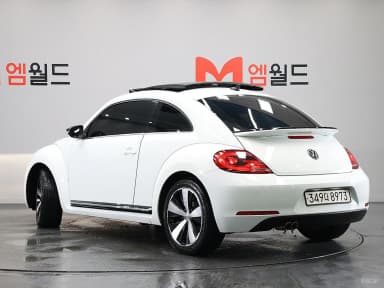 The Beetle
