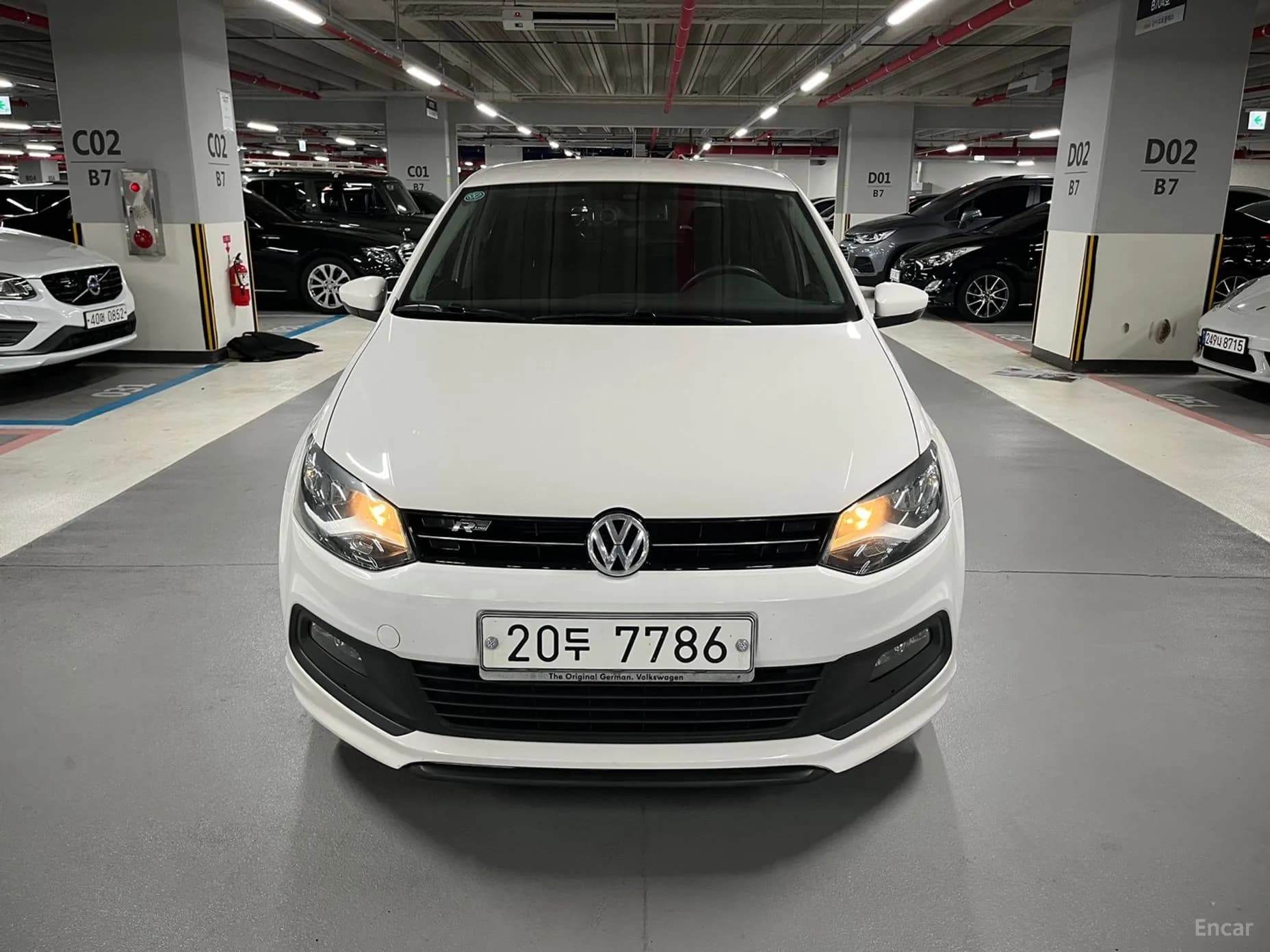 Polo