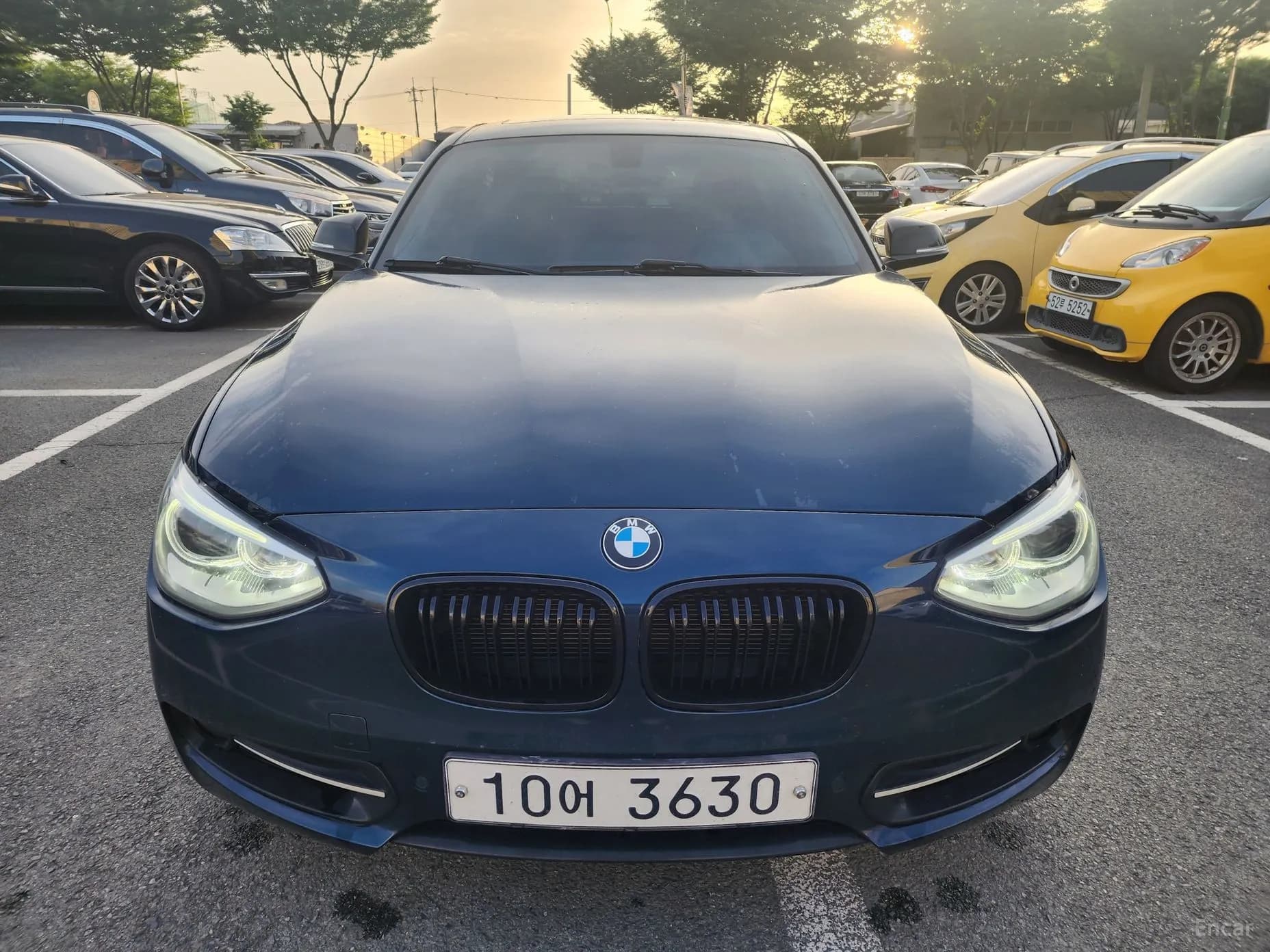 1 Series (F20)