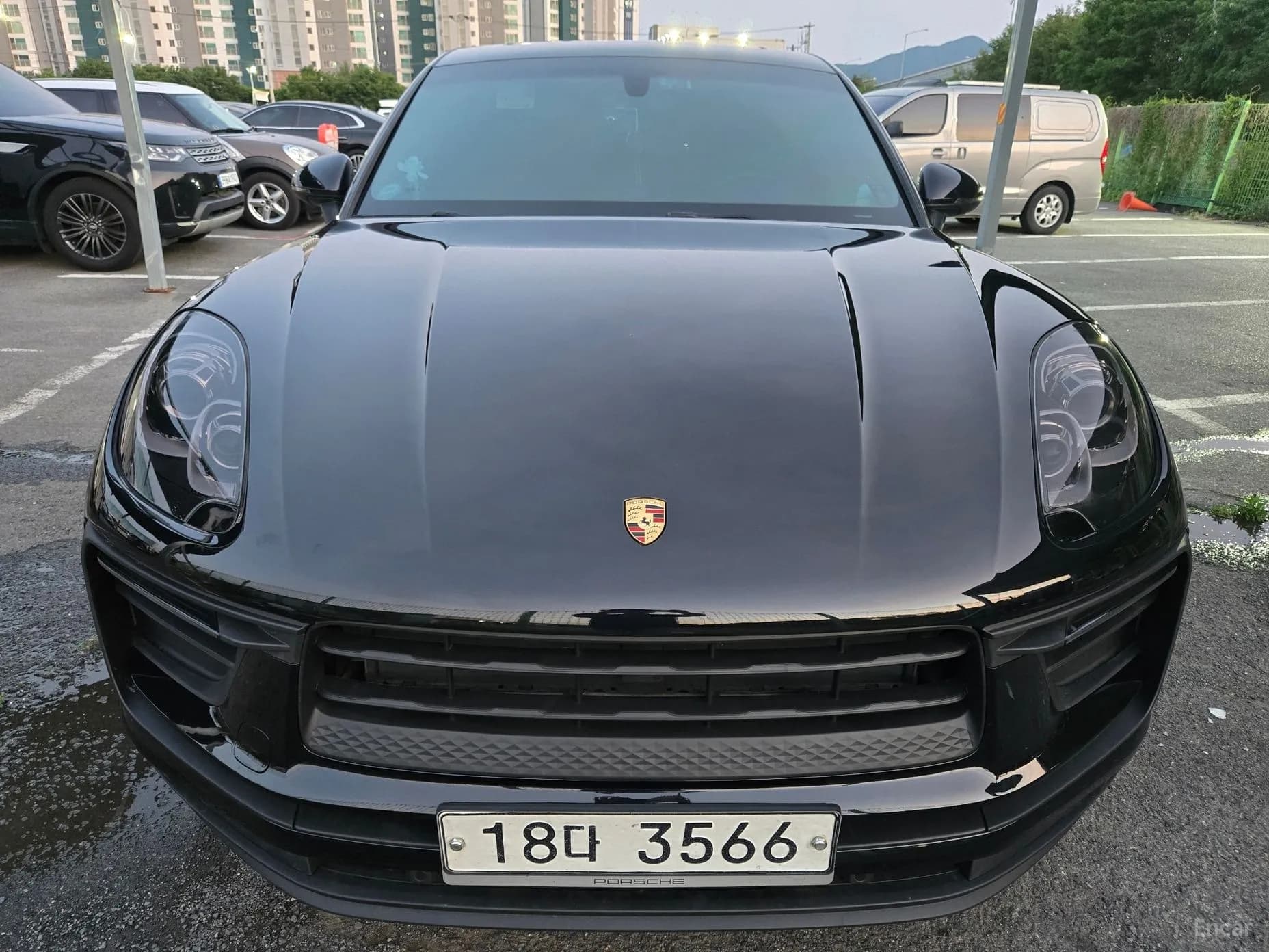 Macan