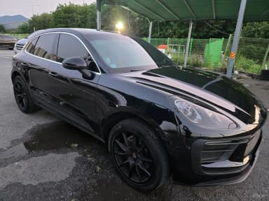 Macan