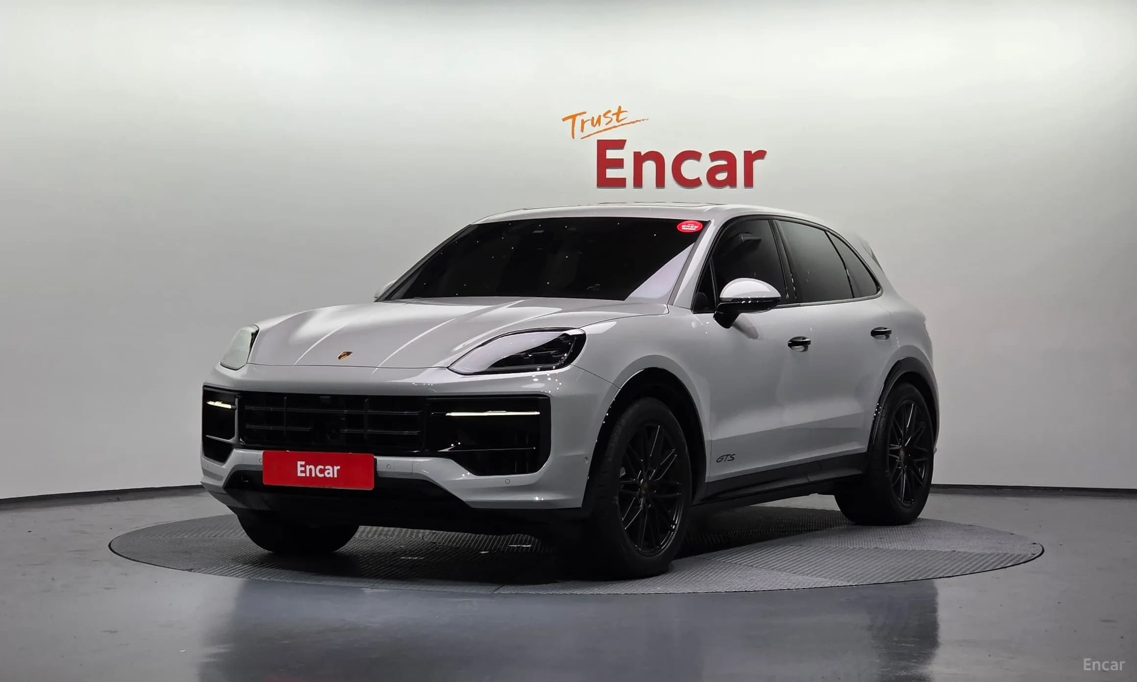 Cayenne (PO536)