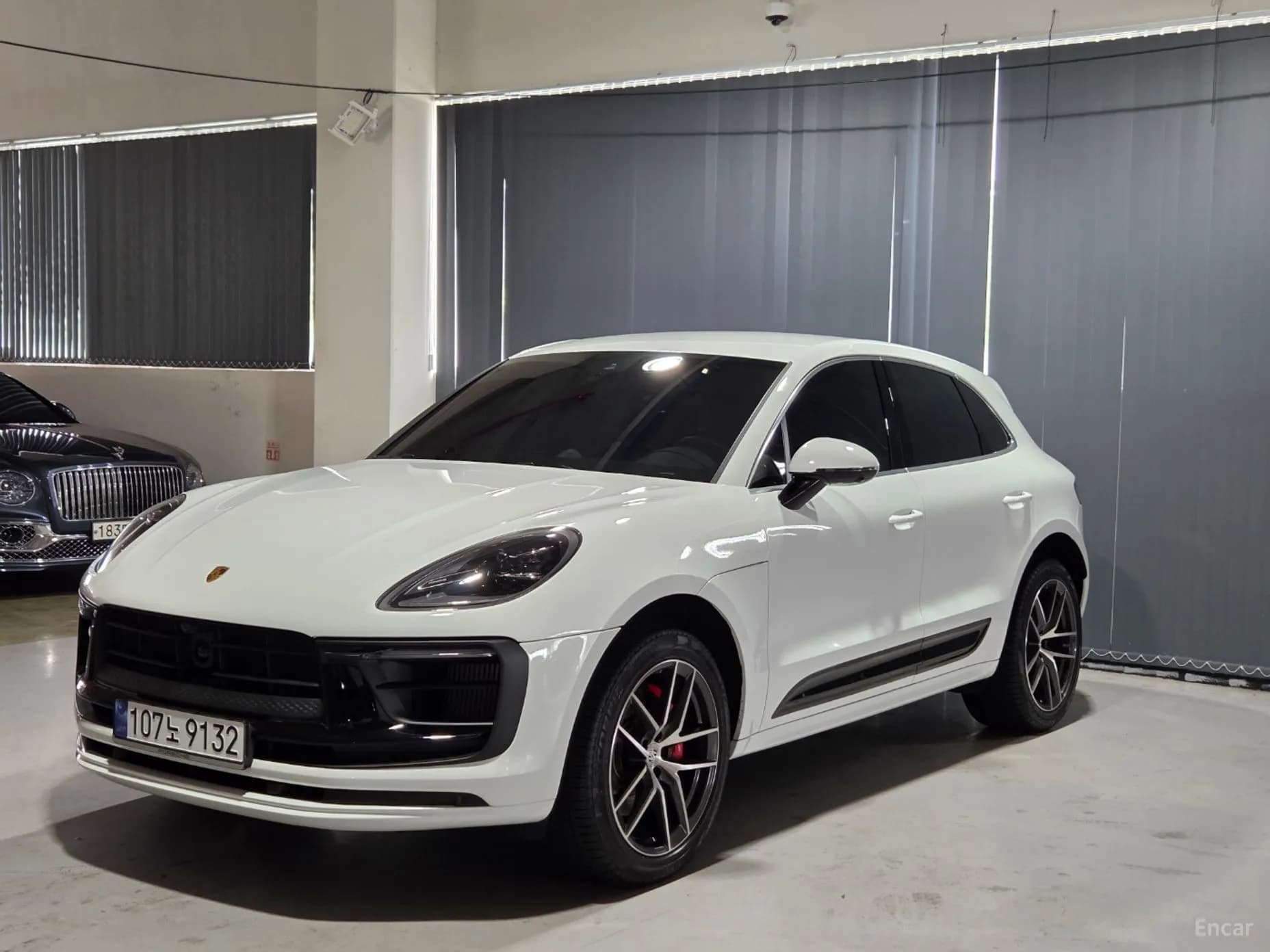 Macan