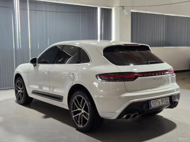 Macan