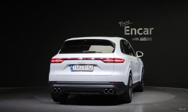 Cayenne (PO536)
