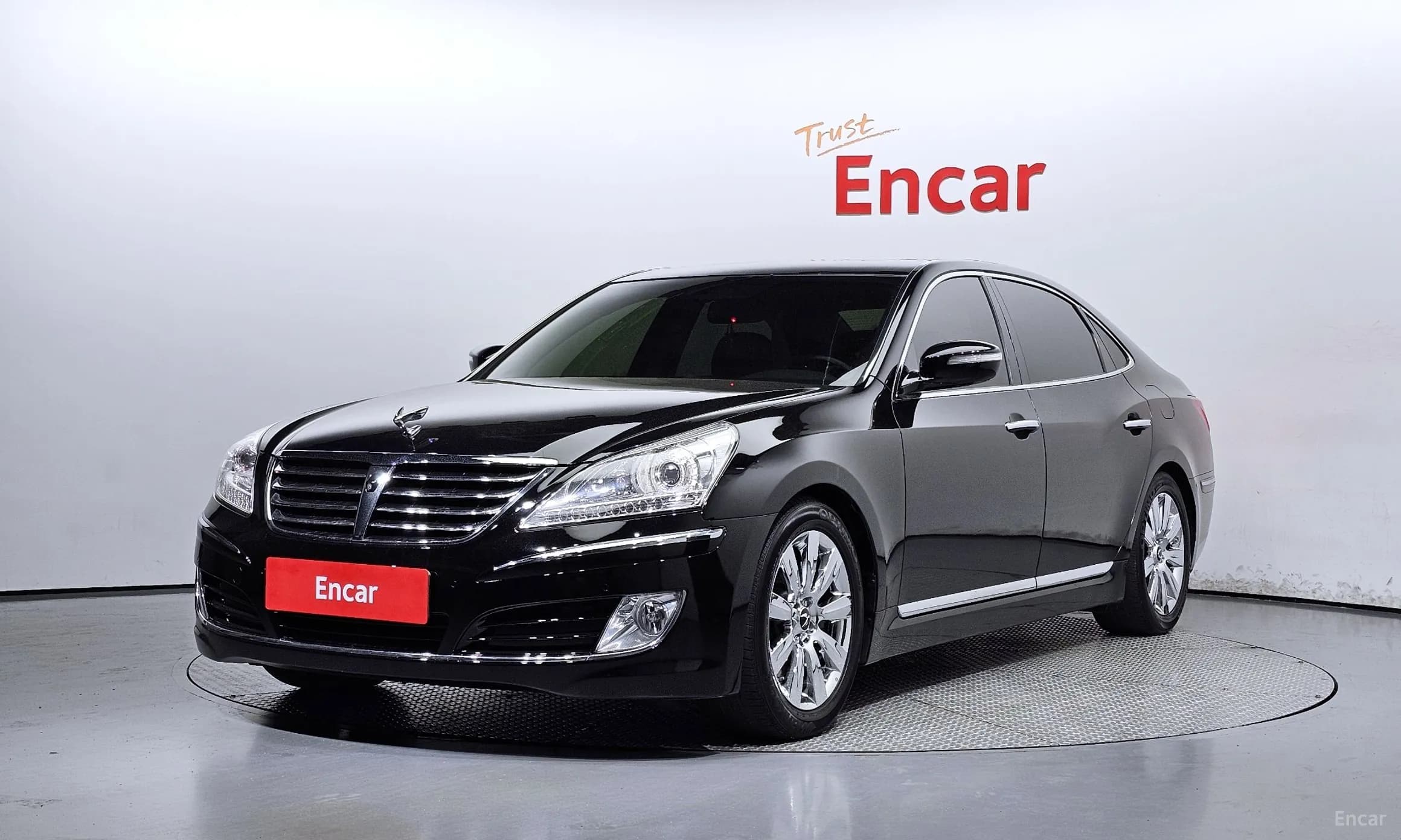 Equus (new)