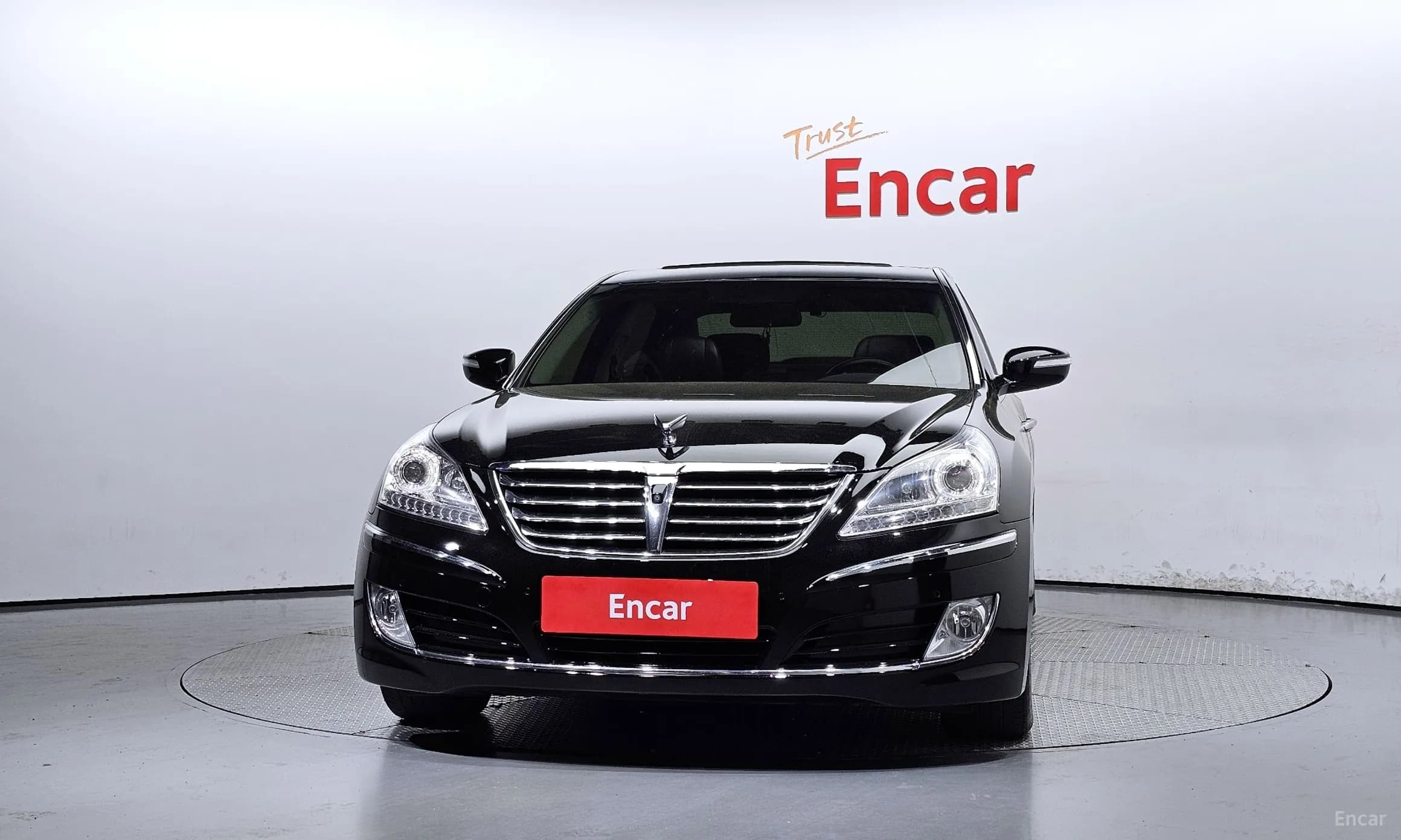 Equus (new)