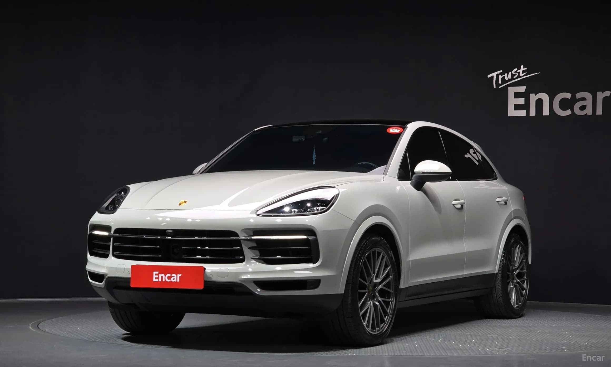 Cayenne (PO536)