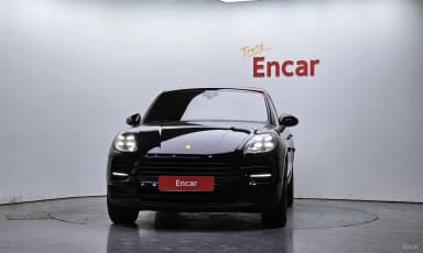 Macan