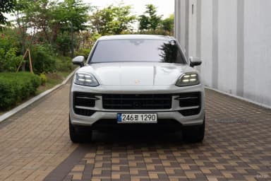 Cayenne (PO536)