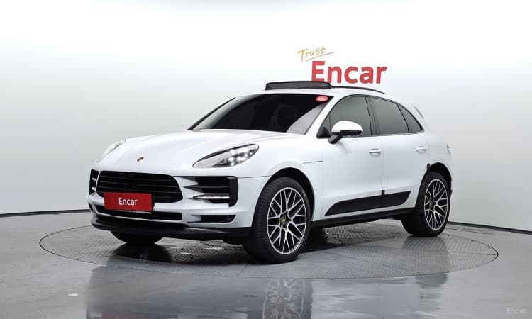 Macan