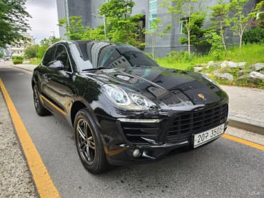 Macan